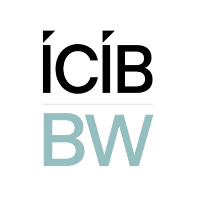 ICIB Brokerweb Insurance & Risk Advisory 